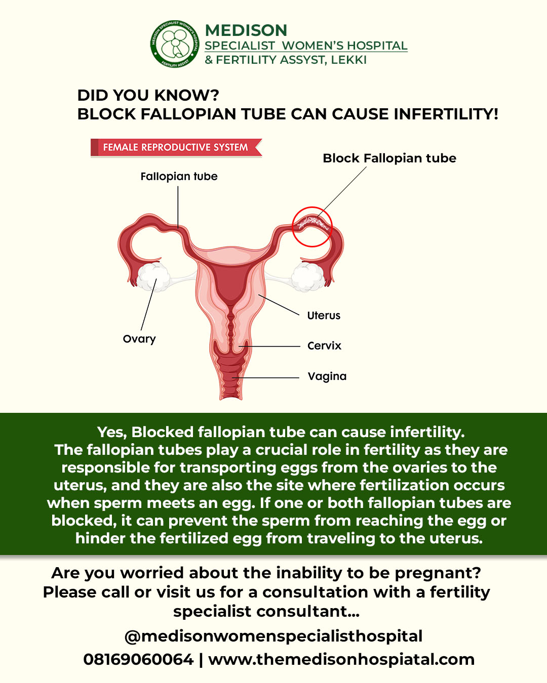 Block Fallopian Tube and Treatment option