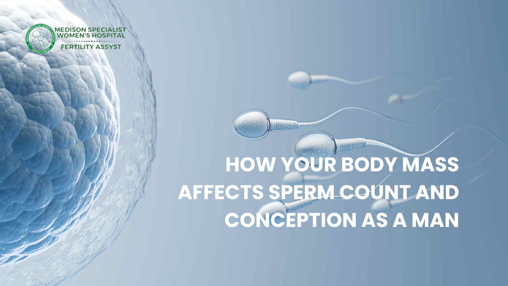 How Your Body Mass Affects Sperm Count and Conception As a Man